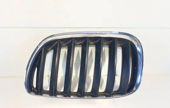 BMW X5 E53 Front bumper upper radiator grill 7124815