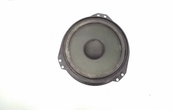Rear door speaker