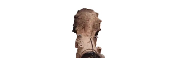 Subaru Legacy Rear differential