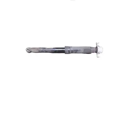 Opel Mokka Rear shock absorber with coil spring 95367160
