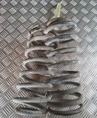 Hyundai Trajet Rear coil spring