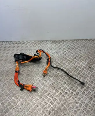 Dacia Spring Other wiring loom 243653026R
