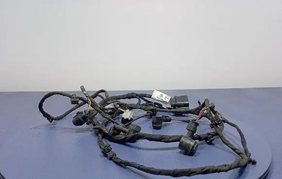 Volkswagen PASSAT CC Other wiring loom 3G0971095C