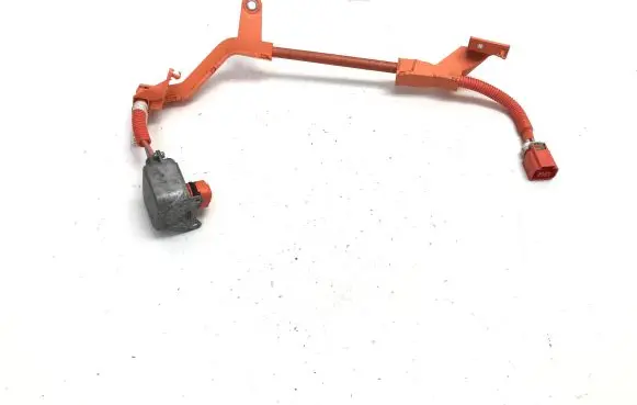 Toyota bZ4X Wiring harness 821H542010