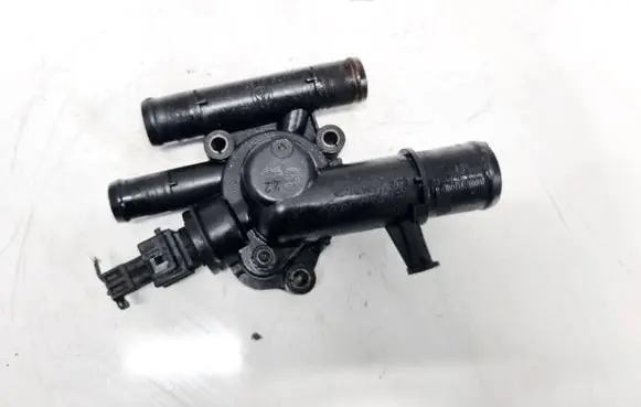 Nissan Primera Engine coolant pipe/hose