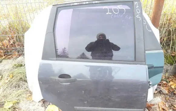 Ford Focus C-MAX Rear door
