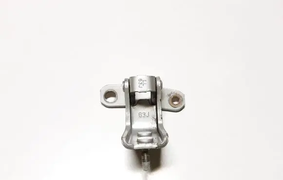 Rear door lower hinge