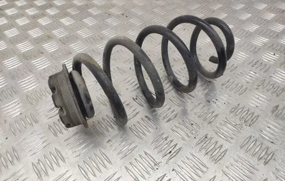 Nissan Juke I F15 Rear coil spring