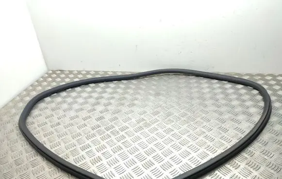 Rear door rubber seal (on body)
