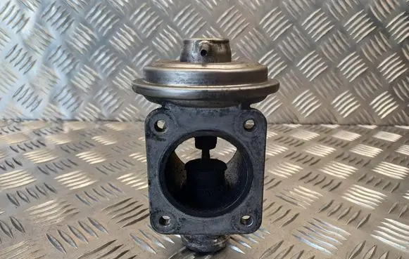 EGR valve