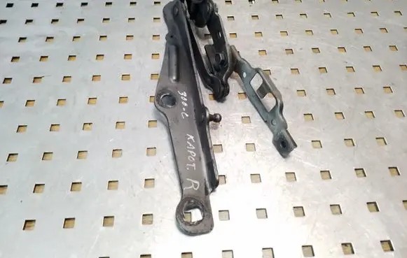 Engine bonnet/hood hinges
