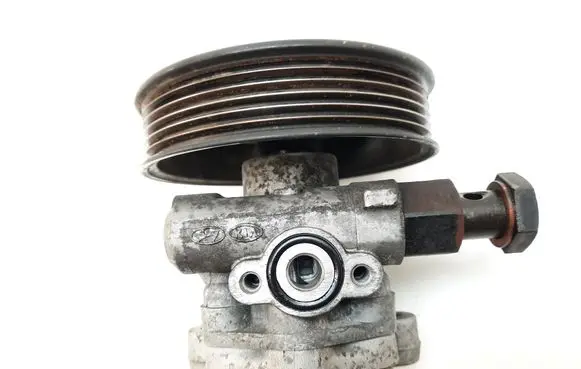 KIA Carens II Power steering pump 571003K200