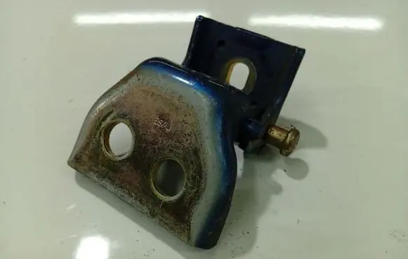 Peugeot 307 Rear door lower hinge 