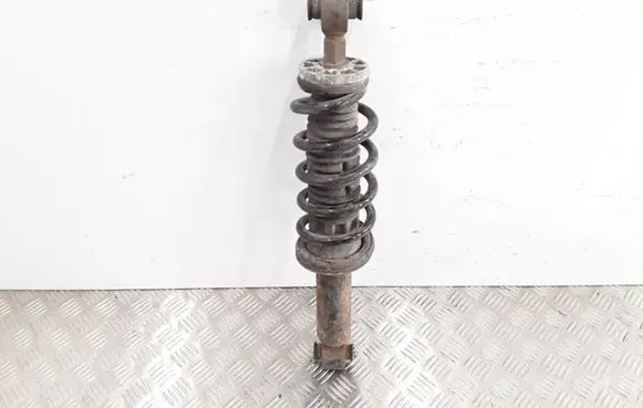 Peugeot 407 Rear shock absorber with coil spring 8771