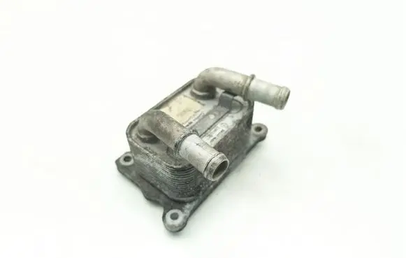 Dacia Sandero Engine oil radiator 213052032R