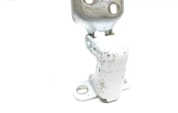 Renault Trafic III (X82) Front door lower hinge 