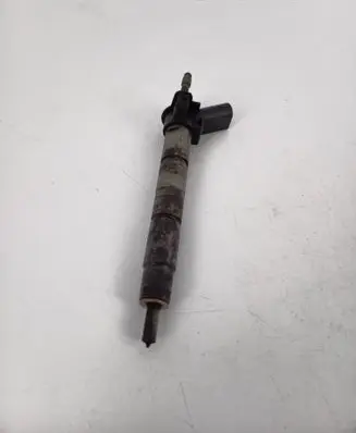 BMW X5 E70 Fuel injector 7805430 0445117