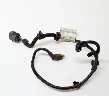 Maserati Quattroporte Other wiring loom 06700064650 670006465