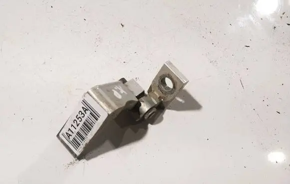 Volkswagen Golf IV Rear door lower hinge 