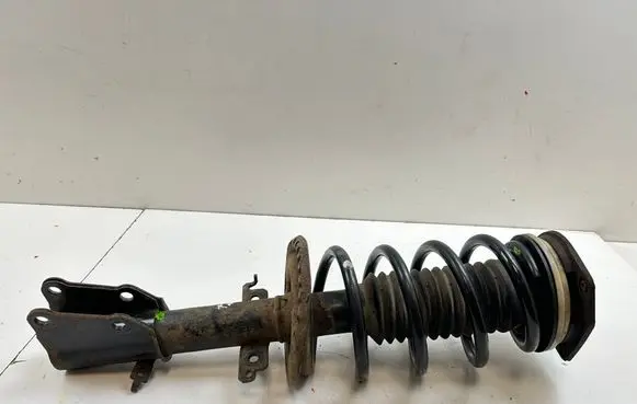 Renault Kangoo II Front shock absorber with coil spring 543020572R