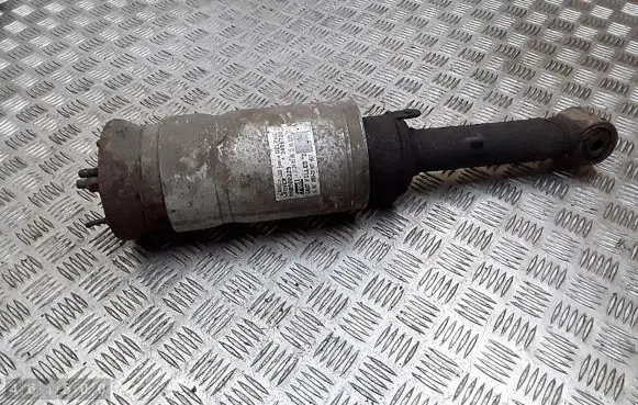 Land Rover Range Rover Sport L320 Front shock absorber/damper 22227491 3498720