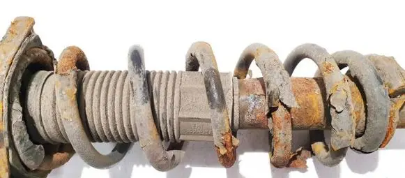 Toyota Corolla Verso AR10 Rear coil spring