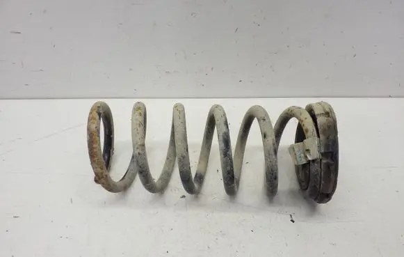 Chevrolet Captiva Rear coil spring 96843023
