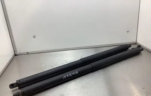 Opel Insignia A Tailgate/trunk strut/damper 13247949