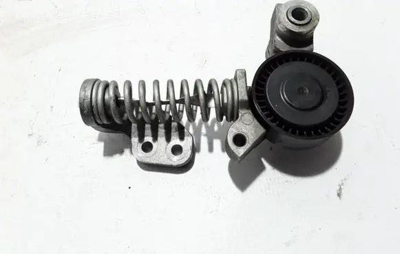 Volvo XC60 Timing belt/chain tensioner 31316097
