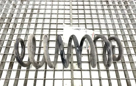 Rear coil spring