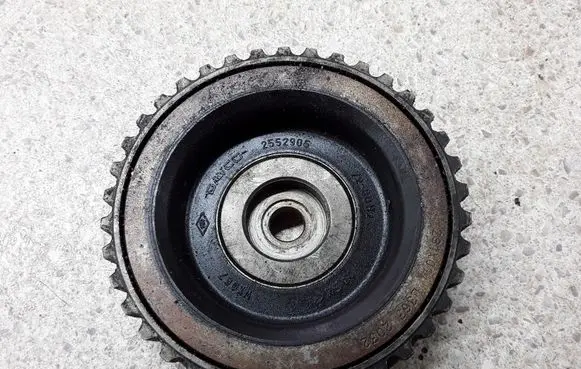 Renault Scenic RX Camshaft pulley/ VANOS 2552905