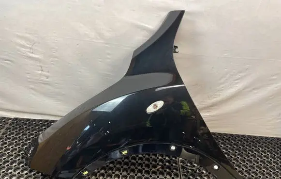 Nissan Juke I F15 Fender 