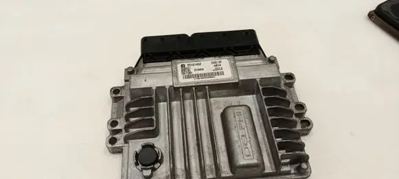 Opel Antara Engine control unit/module 25184894 25191452