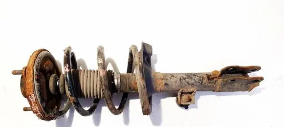 Mitsubishi Outlander Front shock absorber/damper 