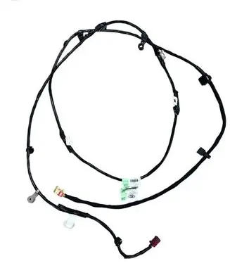 Other wiring loom
