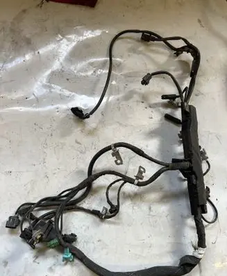 SsangYong Kyron Engine installation wiring loom 6645400040
