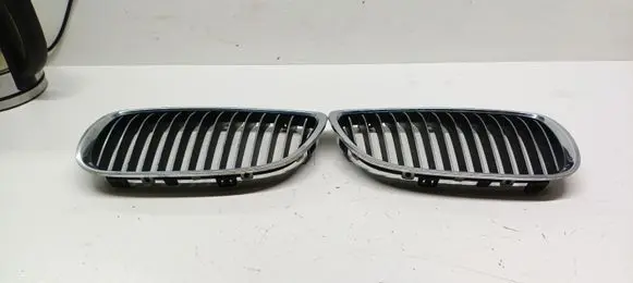 BMW 3 E90 E91 Front grill 22405910