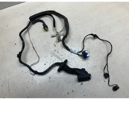 Rear door wiring loom
