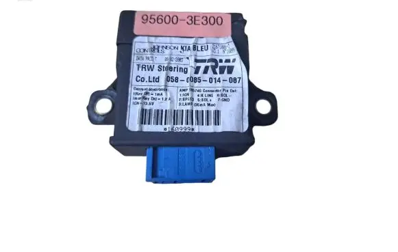 KIA Sorento Other control units/modules 956003E300