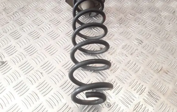 Renault Megane III Rear coil spring 552400003R