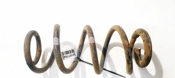 Rear coil spring