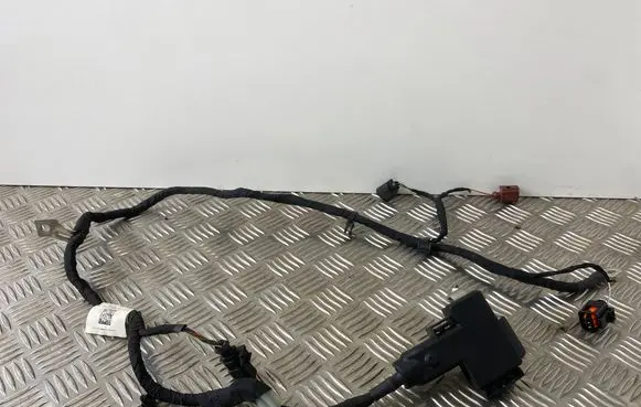 Cupra Formentor Wires (generator/alternator) 5WA971230CP