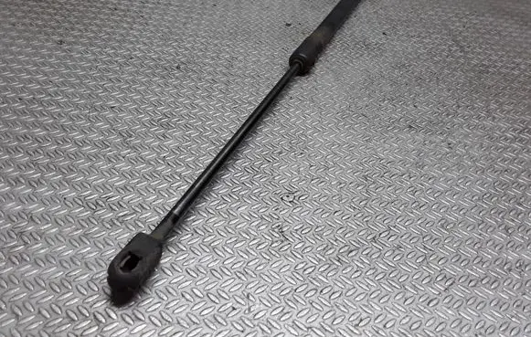 Peugeot 1007 Tailgate/trunk strut/damper 9649587680