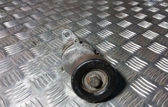 Peugeot 407 Generator/alternator belt tensioner