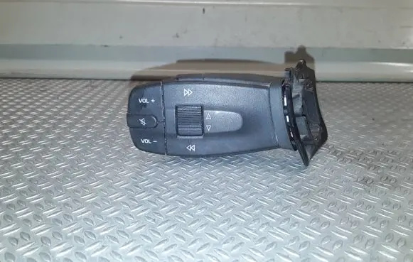 Multifunctional control switch/knob