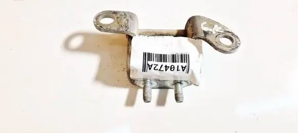 Rear door lower hinge