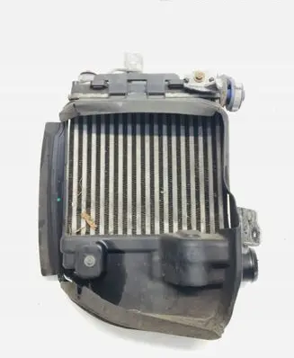 Peugeot 308 Intercooler radiator