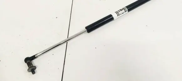 Tailgate/trunk strut/damper