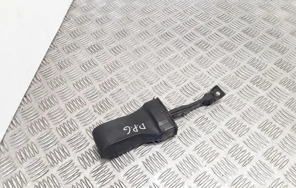 Rear door check strap stopper
