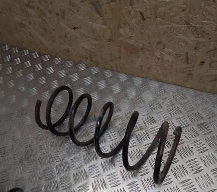 Front coil spring